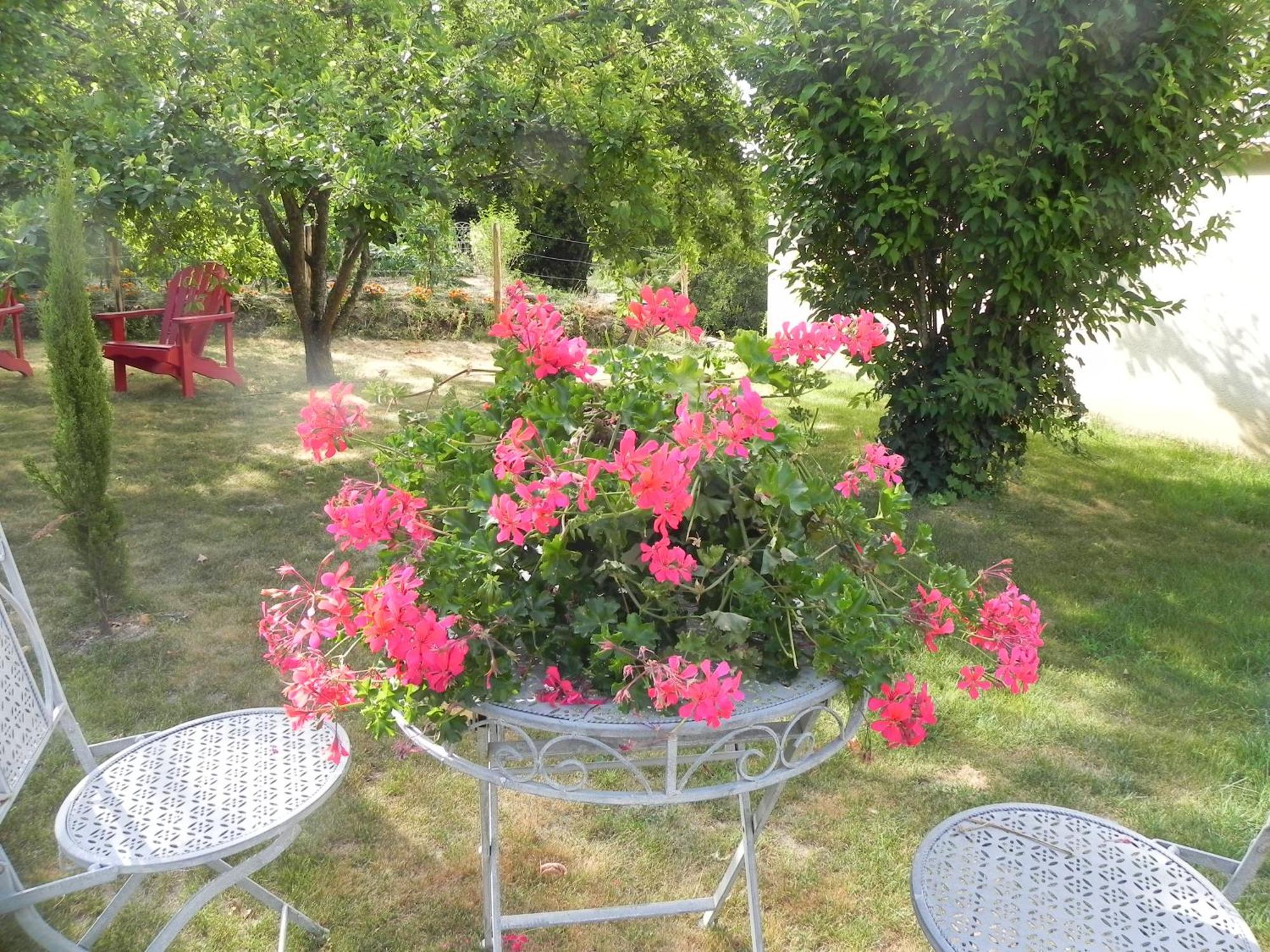 Les Patis Bed and Breakfast Vouvray Exteriör bild